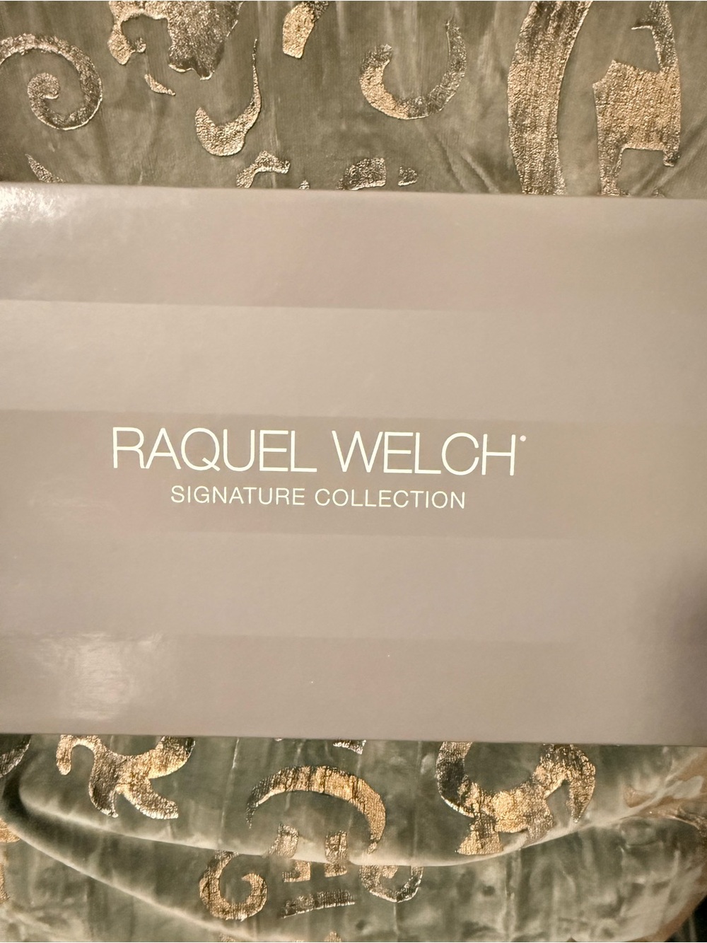 Raquel Welch Signature Collection Wig Box - Gray